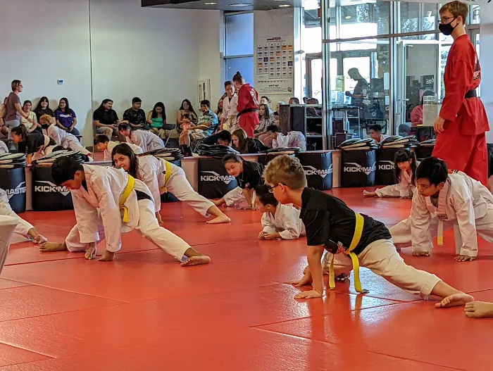 K-Tiger Martial Arts Taekwondo Picture 3