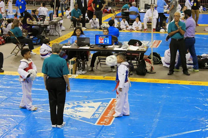 K-Tiger Martial Arts Taekwondo Picture 5