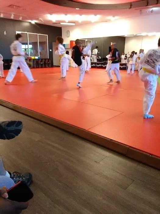 K-Tiger Martial Arts Taekwondo Picture 7