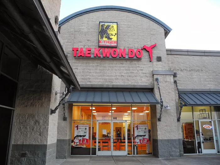 K-Tiger Martial Arts Taekwondo Picture 6