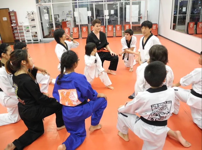 K-Tiger Martial Arts Taekwondo Picture 9