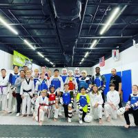 Adrenaline Taekwondo ico