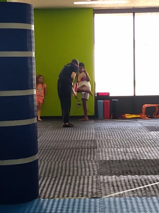Adrenaline Taekwondo Picture 2