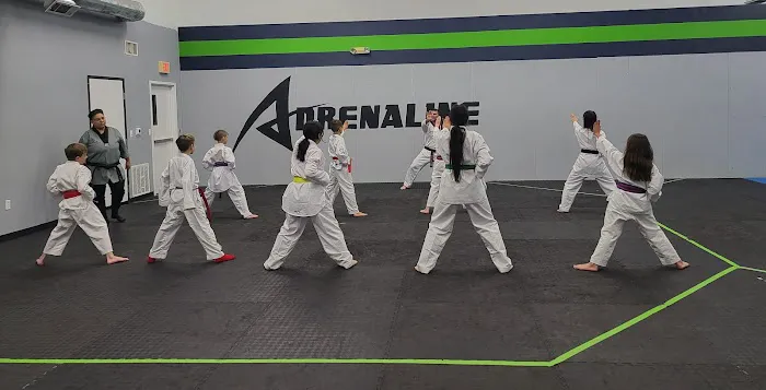 Adrenaline Taekwondo Picture 5