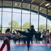 Genesis Taekwondo Family Martial Arts School ico