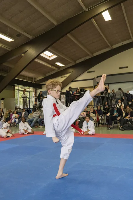 Genesis Taekwondo Family Martial Arts School Picture 10