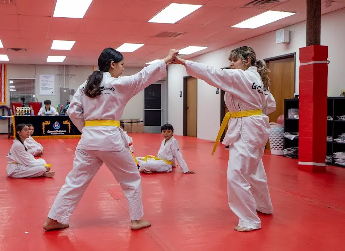 Genesis Taekwondo Family Martial Arts School Picture 8