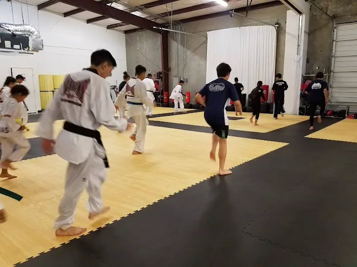 Farfan's Taekwondo Picture 3