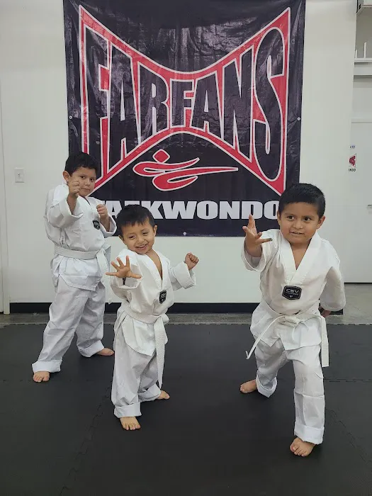 Farfan's Taekwondo Picture 4