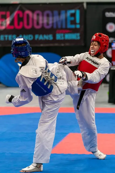 Farfan's Taekwondo Picture 10