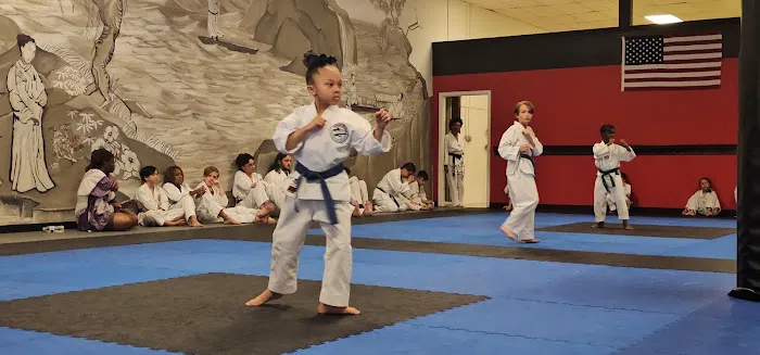 Lone Star Insitute of Taekwondo Picture 2