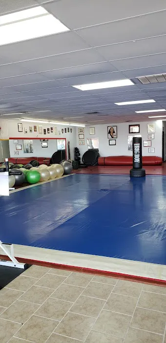 Dallas Tae Kwon Do Center Picture 1