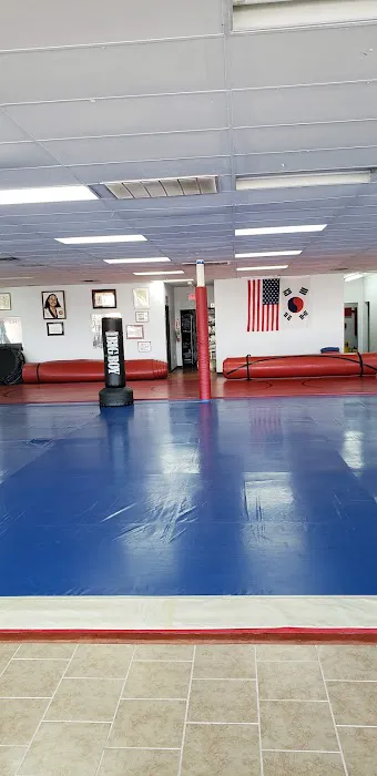 Dallas Tae Kwon Do Center Picture 8