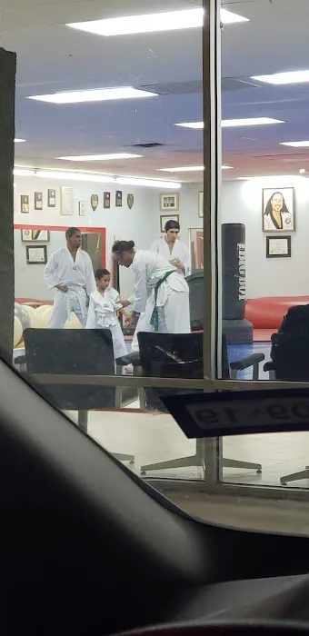 Dallas Tae Kwon Do Center Picture 5