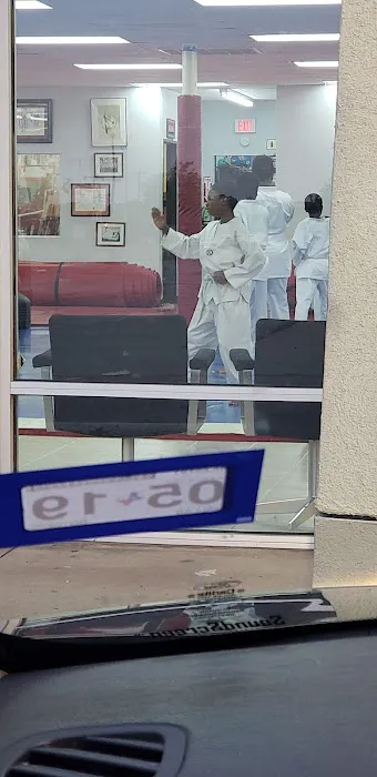 Dallas Tae Kwon Do Center Picture 7
