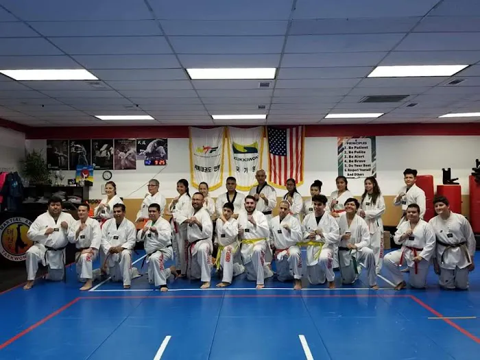 MARTIAL ARTS TAEKWONDO ARLINGTON Picture 5
