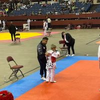 MARTIAL ARTS TAEKWONDO ARLINGTON ico
