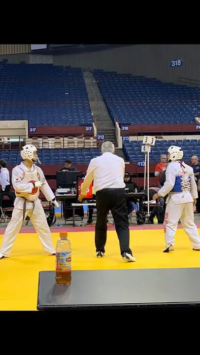 MARTIAL ARTS TAEKWONDO ARLINGTON Picture 4