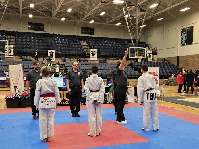 MARTIAL ARTS TAEKWONDO ARLINGTON Picture 3