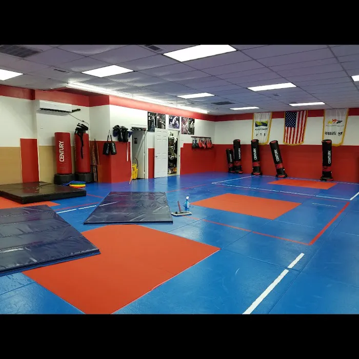 MARTIAL ARTS TAEKWONDO ARLINGTON Picture 6