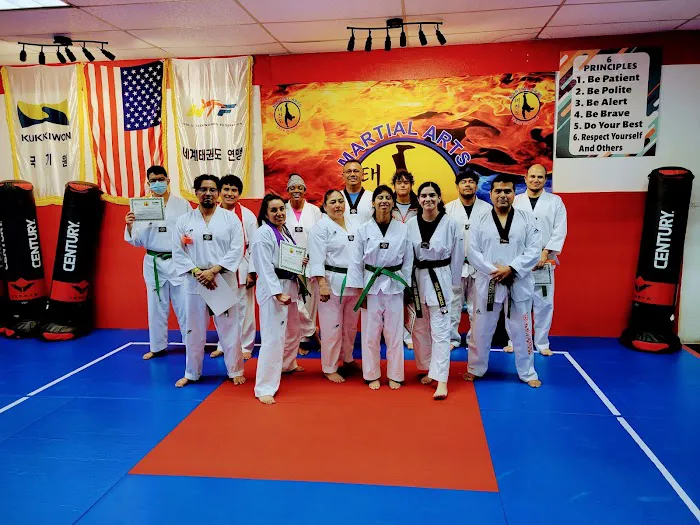 MARTIAL ARTS TAEKWONDO ARLINGTON Picture 10