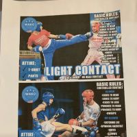 Poteet Martial Arts ico