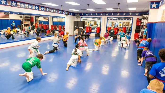 Karate Works Picture 10