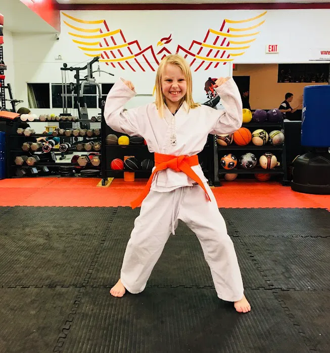 North Texas Karate Academy Picture 4