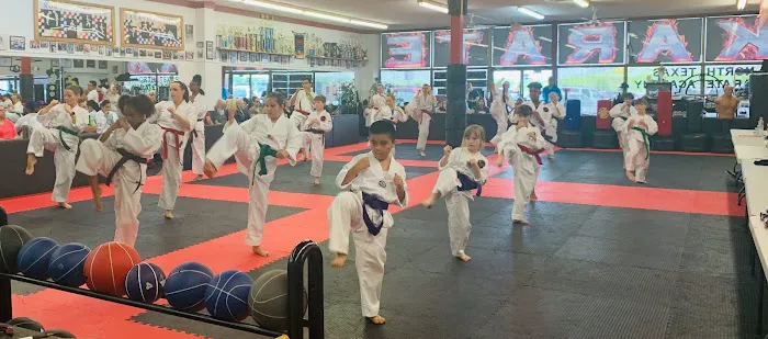 North Texas Karate Academy Picture 3