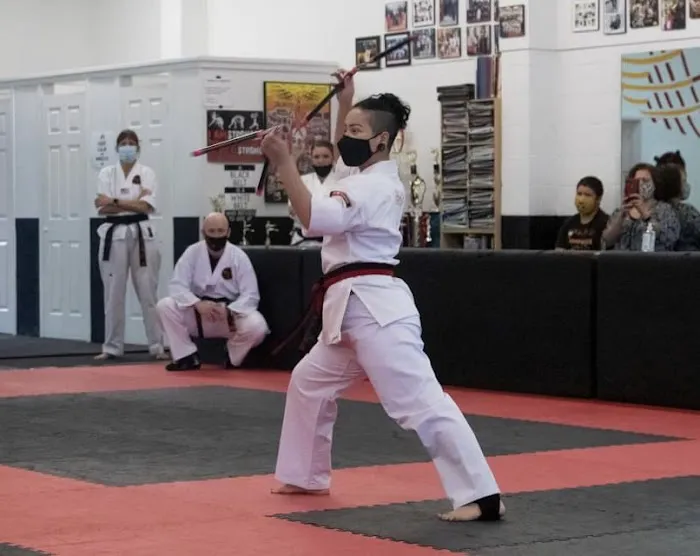 North Texas Karate Academy Picture 5