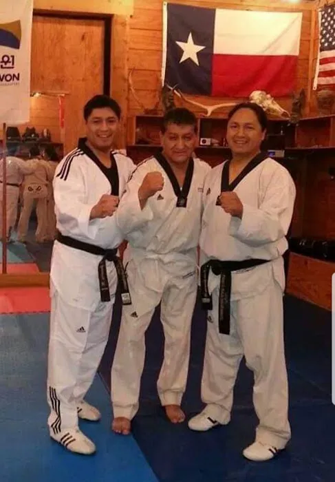 The High Performance Institute of Taekwondo Picture 3