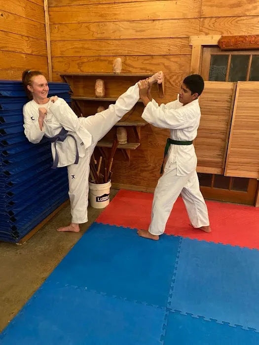 The High Performance Institute of Taekwondo Picture 1