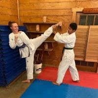 The High Performance Institute of Taekwondo ico