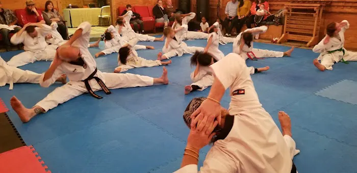 The High Performance Institute of Taekwondo Picture 5