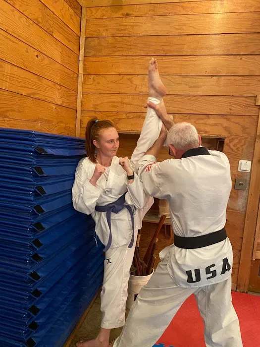 The High Performance Institute of Taekwondo Picture 6