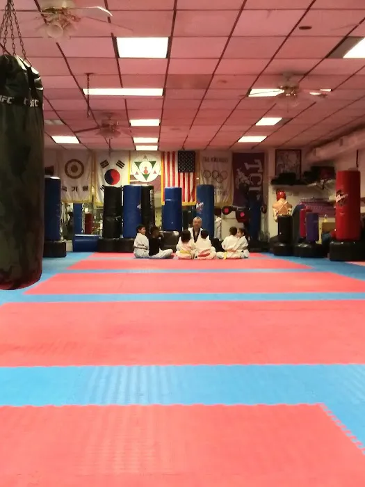 Sanchez Taekwondo Institute Picture 3