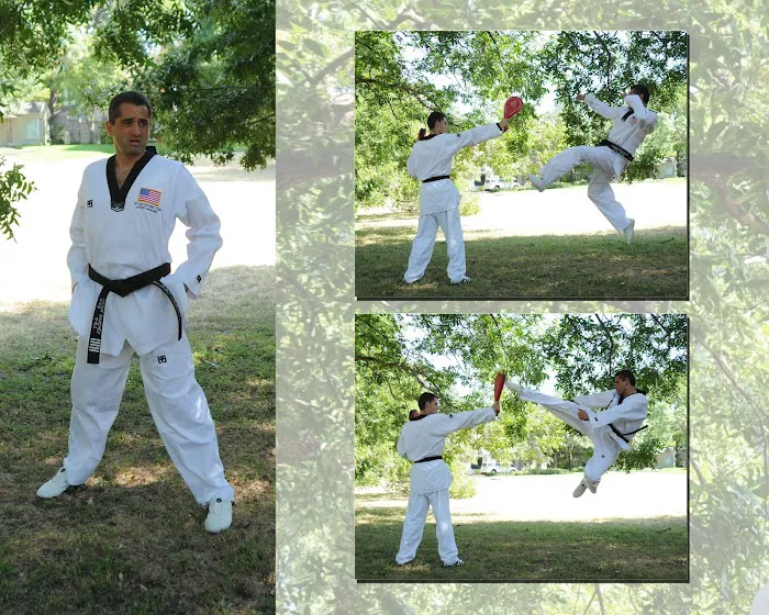 Sanchez Taekwondo Institute Picture 4