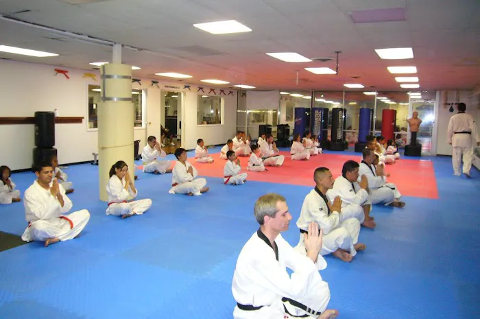 Sanchez Taekwondo Institute Picture 6