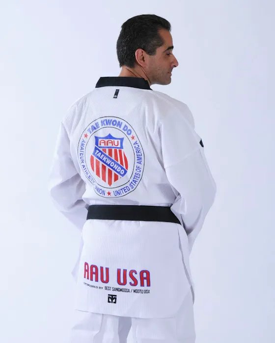 Sanchez Taekwondo Institute Picture 7