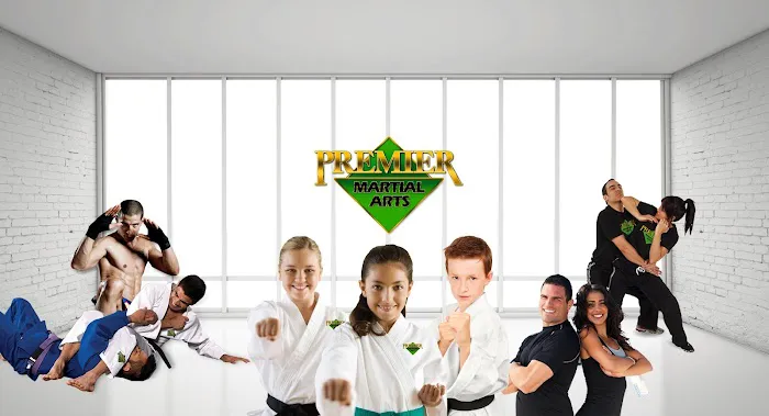 Premier Martial Arts Grand Prairie Picture 5