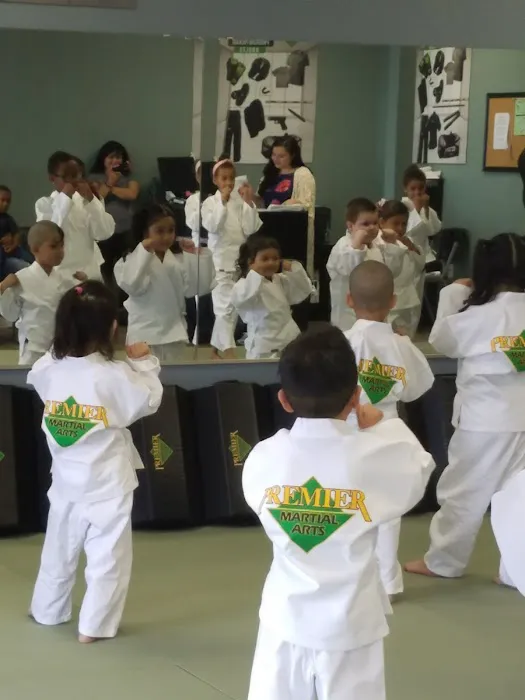 Premier Martial Arts Grand Prairie Picture 7