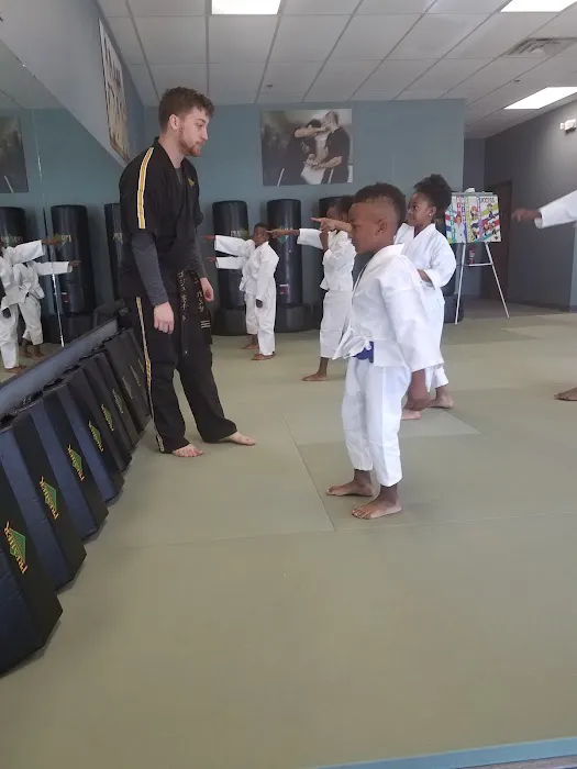 Premier Martial Arts Grand Prairie Picture 3