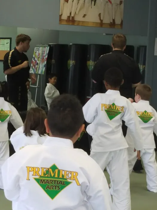 Premier Martial Arts Grand Prairie Picture 6