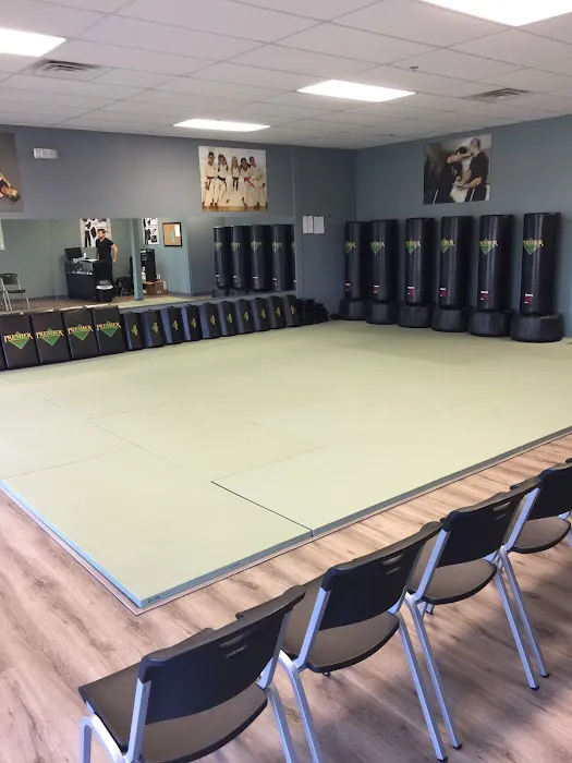 Premier Martial Arts Grand Prairie Picture 8