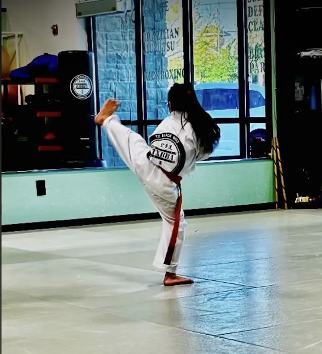 TX Black Belt Academy Midlothian Picture 6