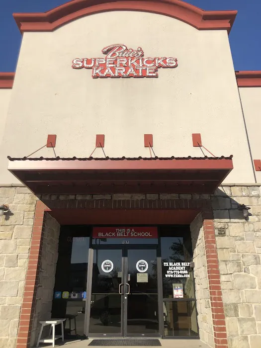 TX Black Belt Academy Midlothian Picture 4