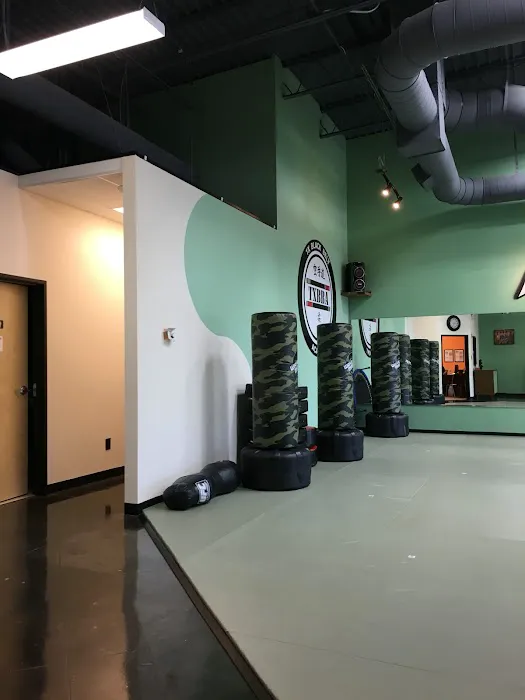 TX Black Belt Academy Midlothian Picture 10