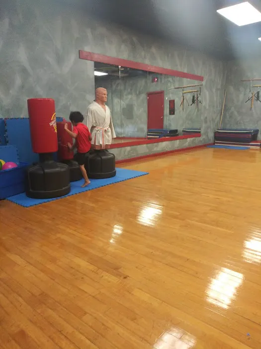 Martial Arts Experience Picture 1