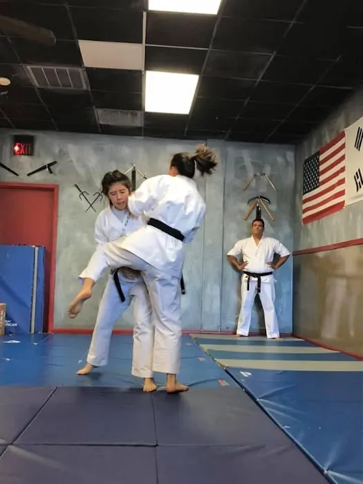 Martial Arts Experience Picture 2