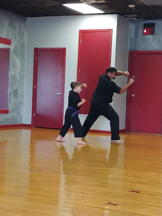 Martial Arts Experience Picture 4